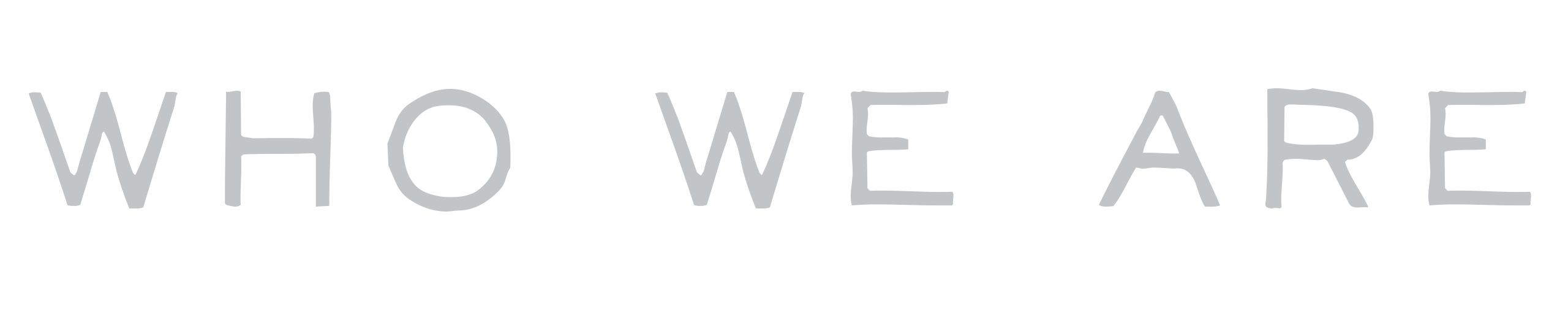 Who we are 02